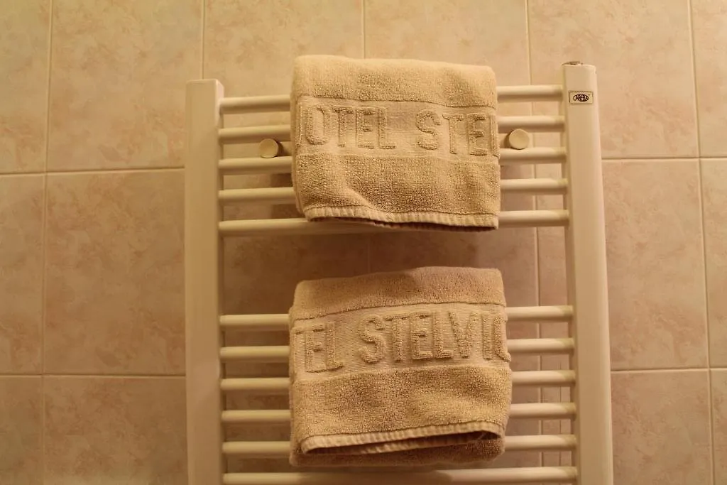 Hotel Stelvio Varese 3*,